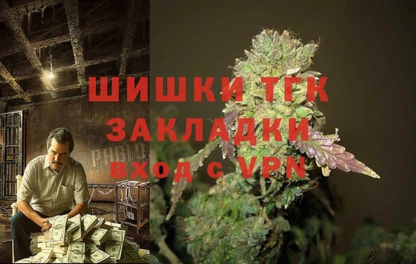 амф Белоозёрский