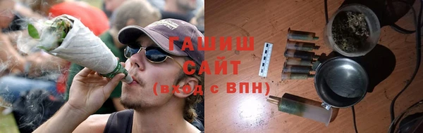 гидра Богородск