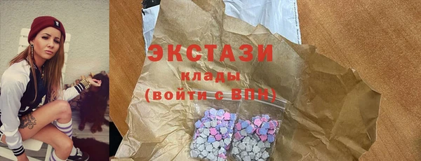 гидра Богородск