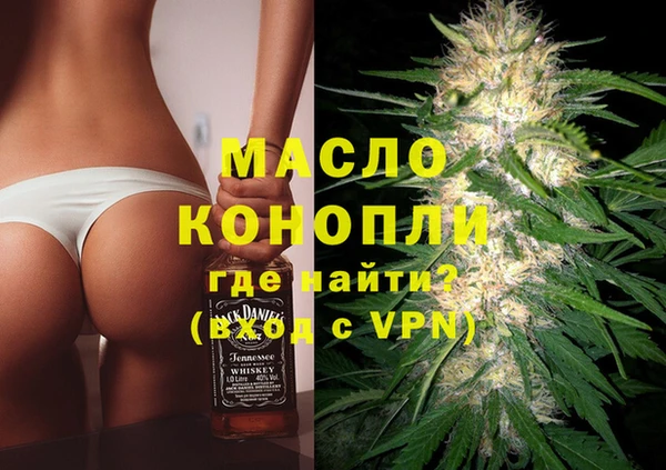 гидра Богородск