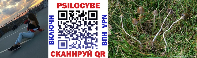 купить закладку  omg как войти  Галлюциногенные грибы мухоморы  Борзя 